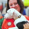 Yes to No-Kill Nation!